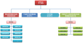 信息技術(shù)咨詢服務(wù) 推動(dòng)行業(yè)標(biāo)準(zhǔn)化與創(chuàng)新發(fā)展